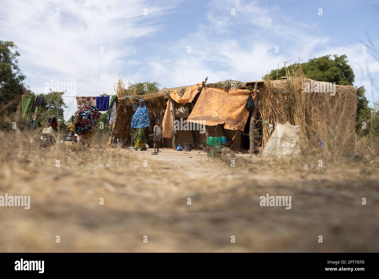 Refugees, or internally displaced people, from northern Mali live in makeshift housing in Segou Region, Mali, West Africa. 2022 Mali drought and hunger crisis. Stock Photo