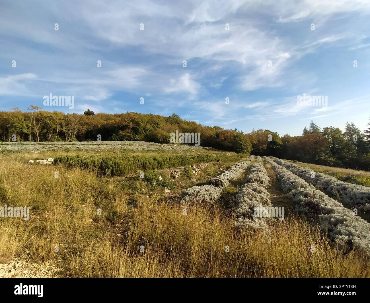 A walk in Verona city countryside, Italy Stock Photo