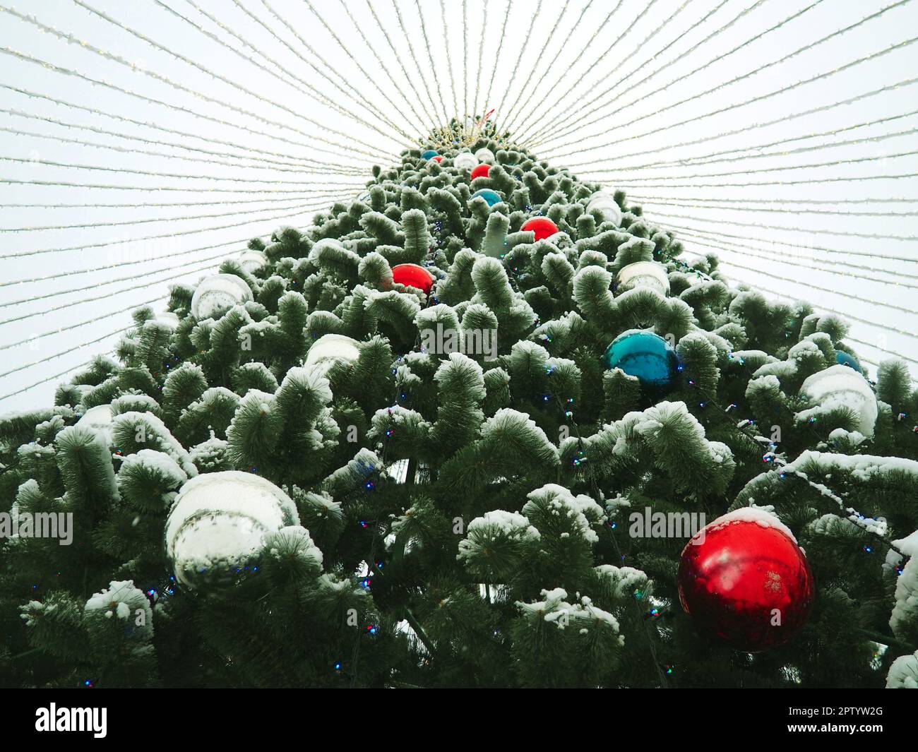 Christmas tree with snow on the branches and needles. Decorations made ...