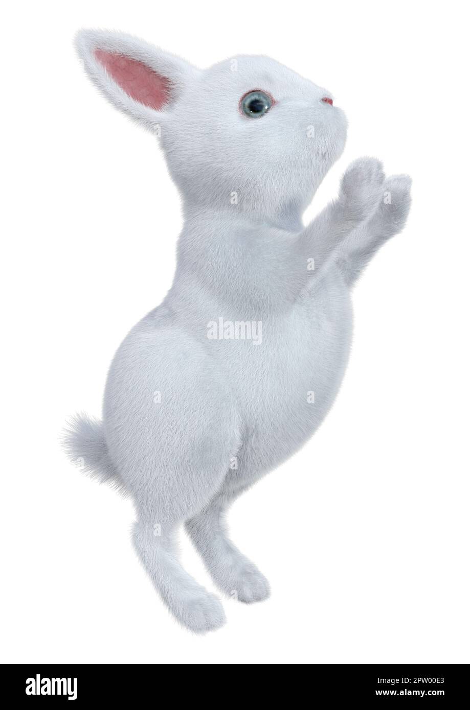 3D rendering of a white bunny isolated on white background Stock Photo ...