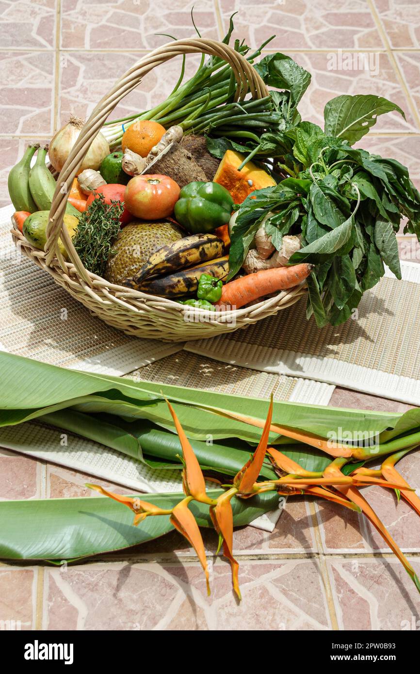 Miami Florida Kendall,Jamaican ethnic traditional foods,Bird of Paradise,basket,tomato,tomatoes,tomatoes,green pepper,visitors travel traveling tour t Stock Photo