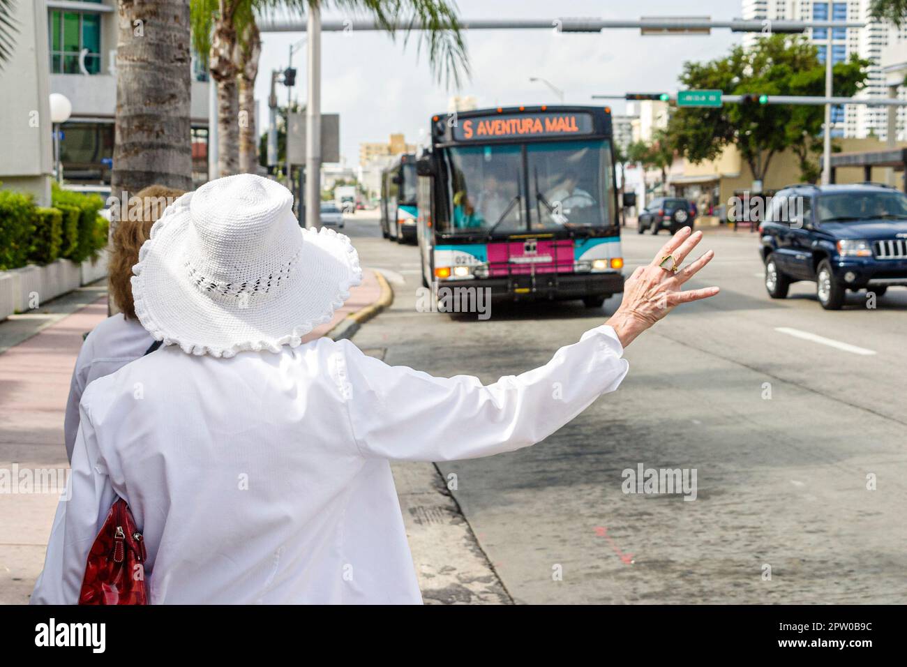 Miami Beach Florida,Washington Avenue,senior seniors old citizen citizens pensioner pensioners retired elderly,signals public bus service,riders,passe Stock Photo