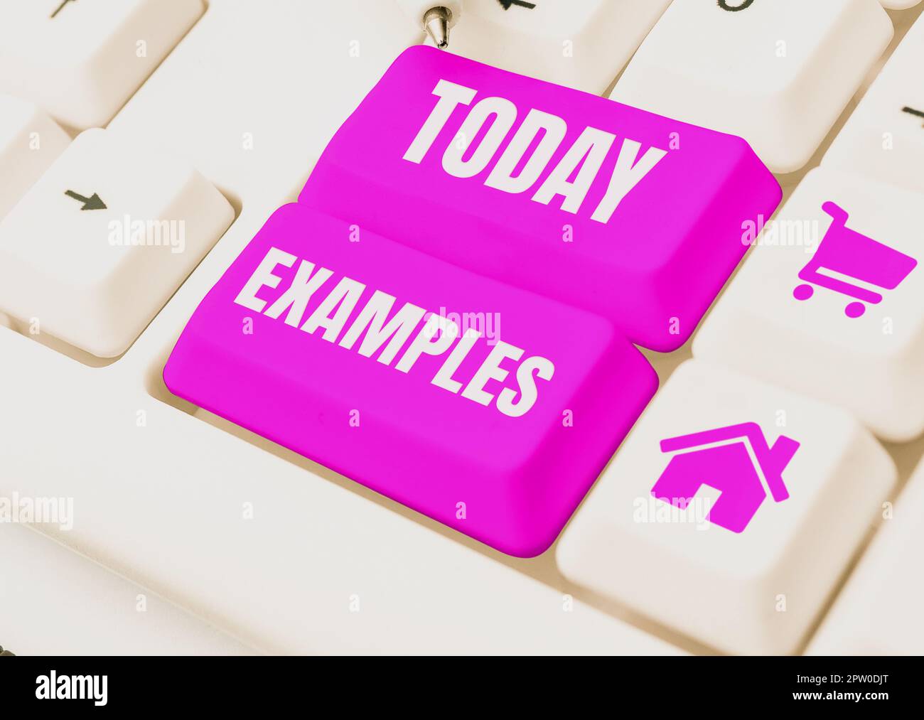 Text sign showing Examples, Conceptual photo photo Sample Model to ...