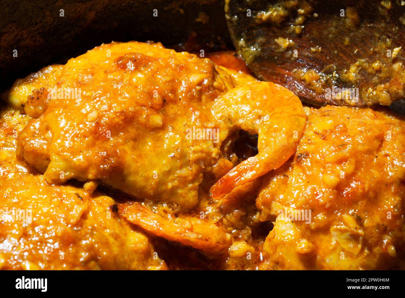 Brazilian local food, chicken stew with dried shrimps, typical food of