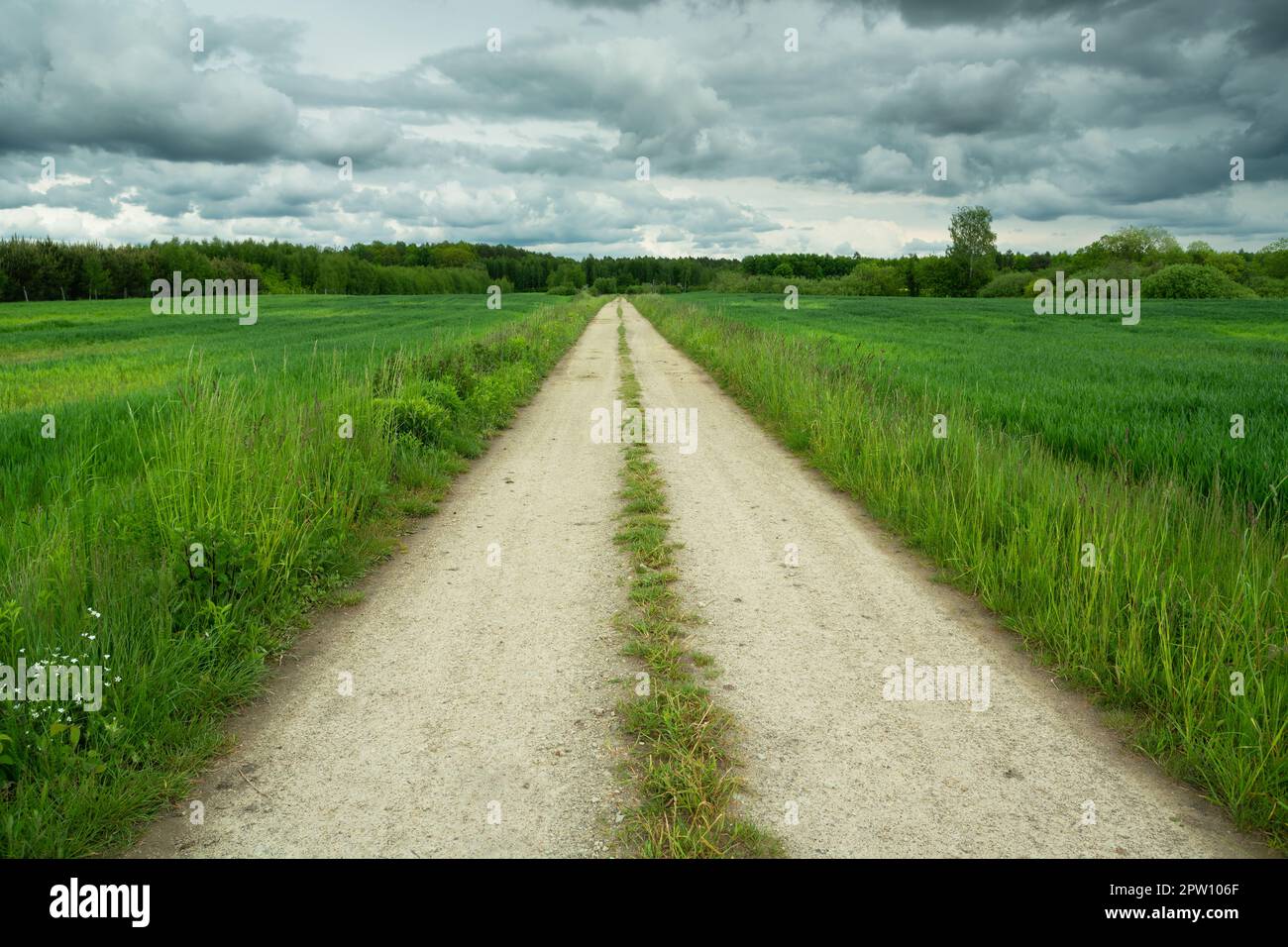 Long dirt road through green fields and cloudy sky Stock Photo
