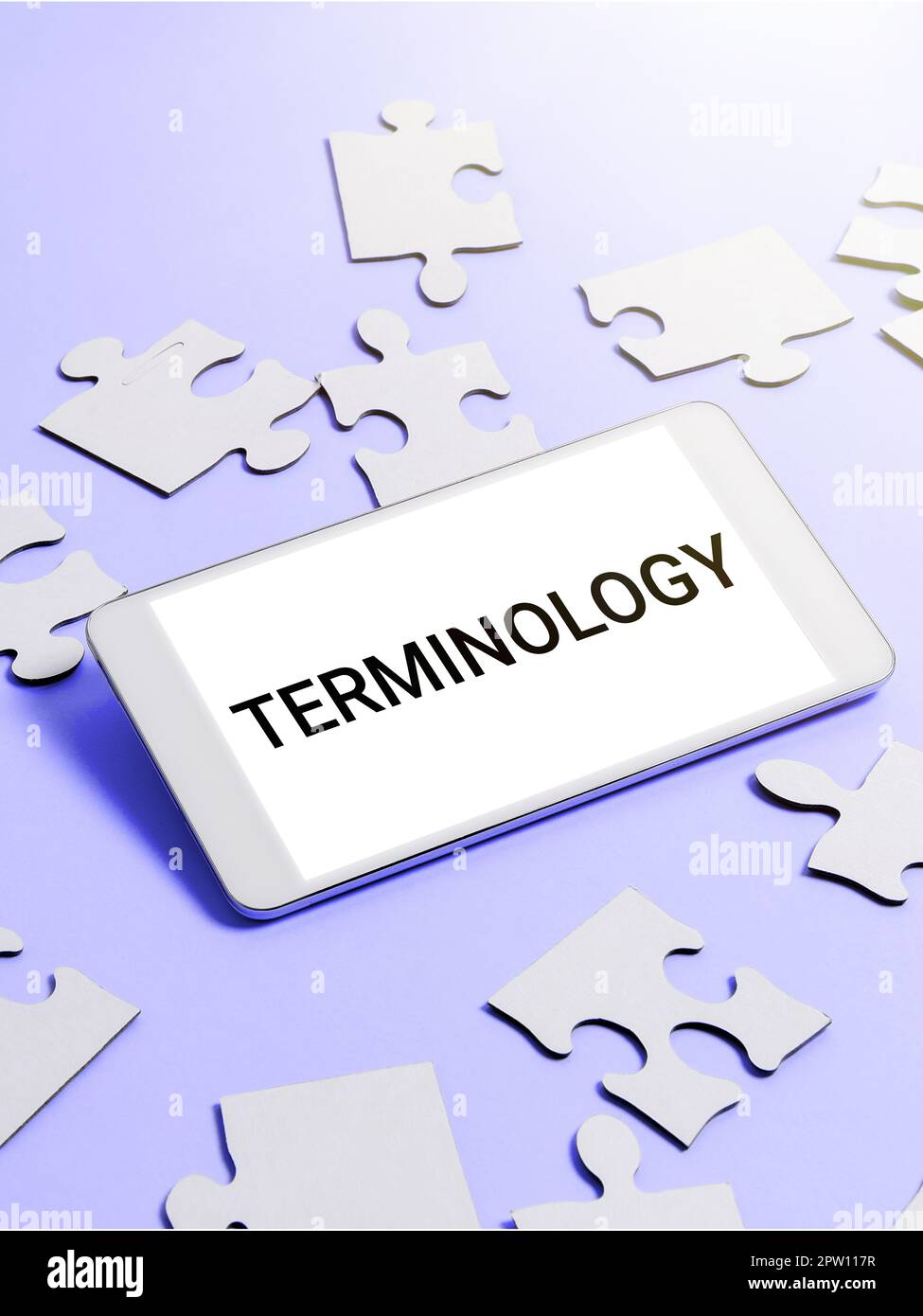 Text caption presenting Terminology, Business overview Terms used with ...