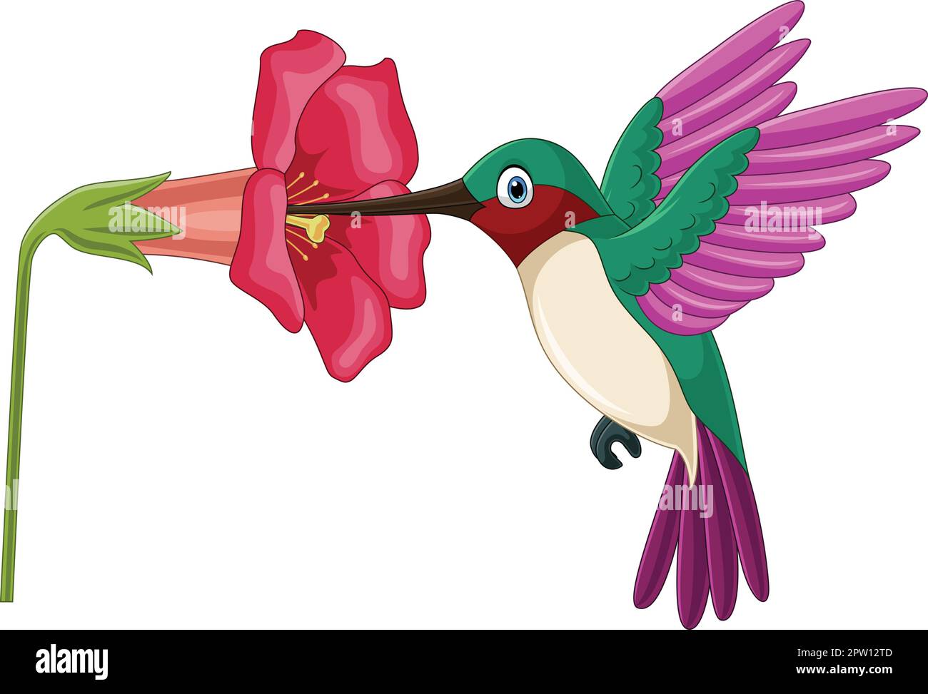 Cartoon hummingbird sipping nectar from flowers Stock Vector