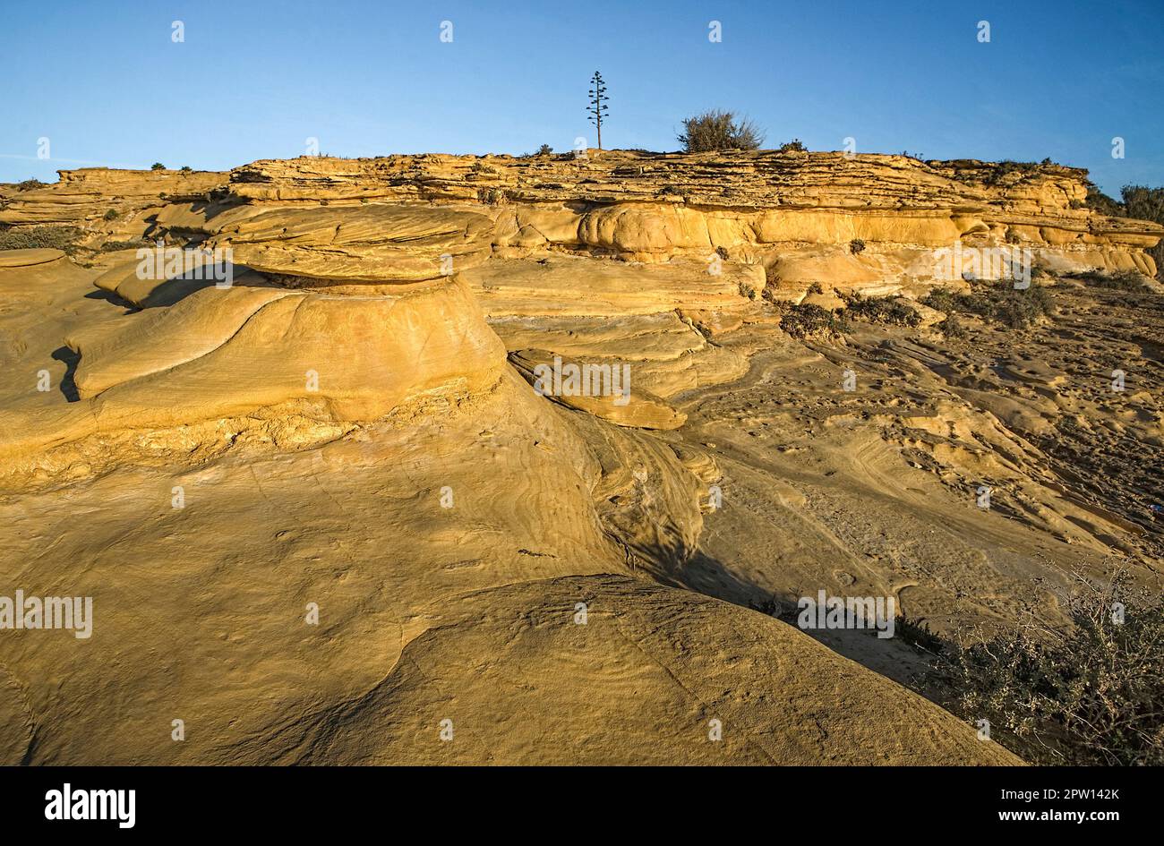 Sunrise light bathing the eroded surface at Cama de Vaca cliffs, Faro