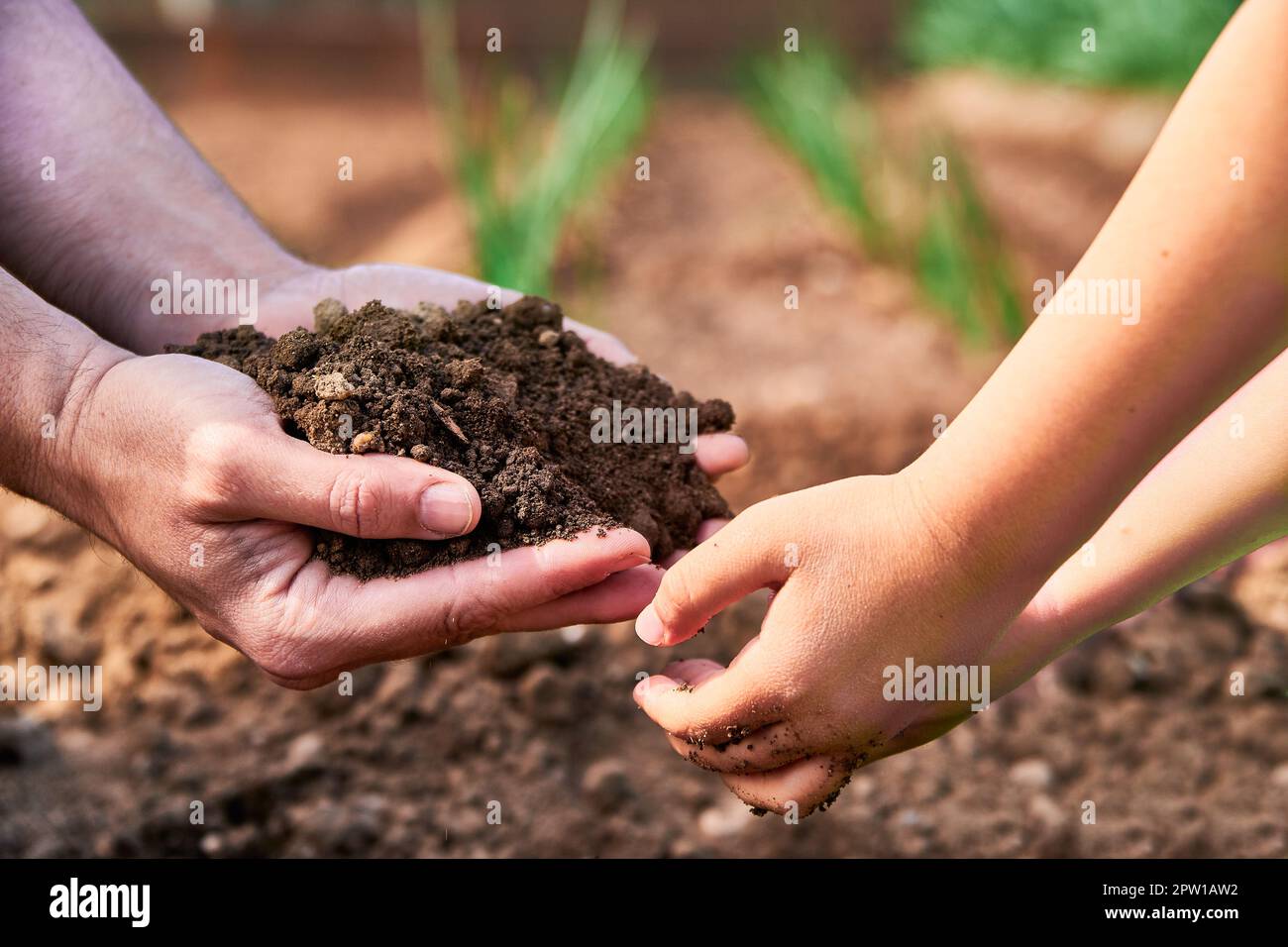 Generations sharing the earth. Father offering soil to his son hands Stock Photo