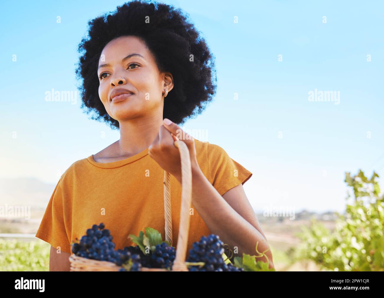African farmer woman in field hi-res stock photography and images - Page 6  - Alamy