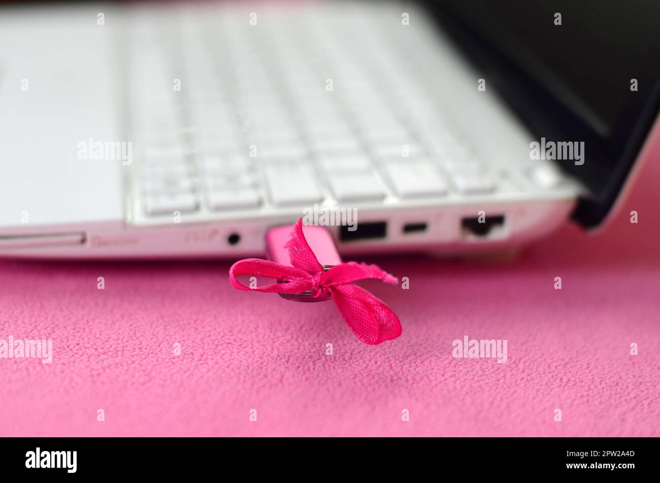 A brilliant pink USB flash drive with a pink bow is connected to a white laptop, which lies on a blanket of soft and fluffy light pink fleece fabric. Stock Photo
