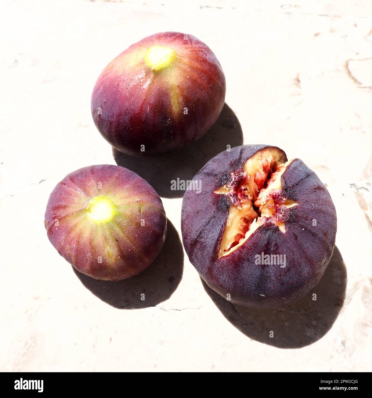 Fig or fig tree, or common fig tree, or Ficus carica is a subtropical ...