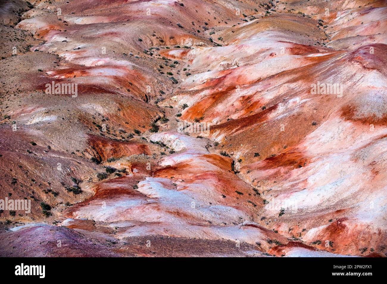 Ein Canyon mit schroffen und bunten Felswänden in der Wüste Gobi, Mongolei, Zentralasien Stock Photo