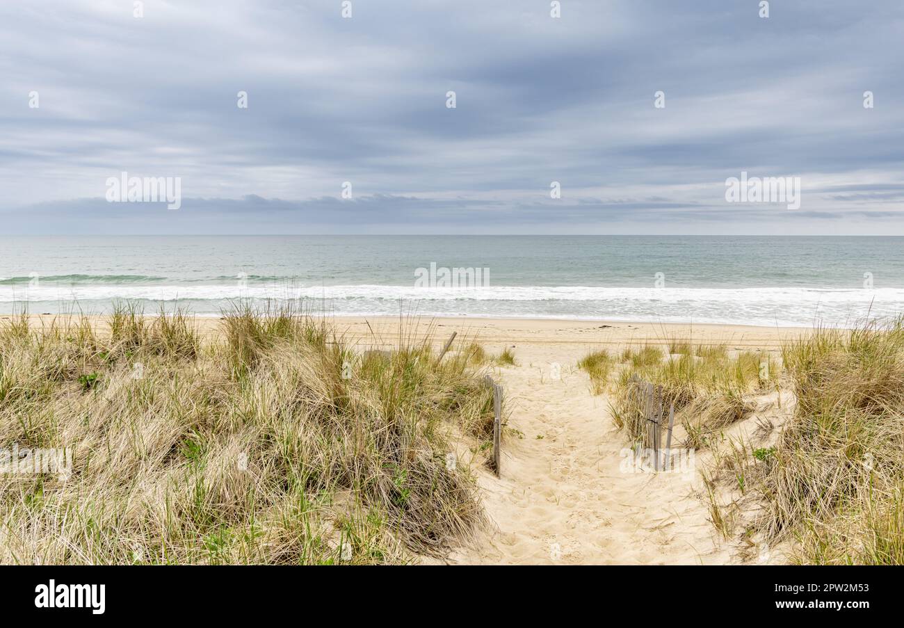 Ocean beach landscape at Mitchell Dunes, amagansett, ny Stock Photo