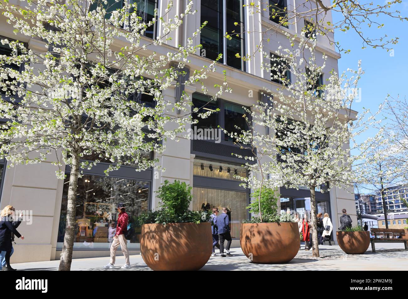 Spring blossom by the shops on Kings Boulevard at Kings Cross, in north