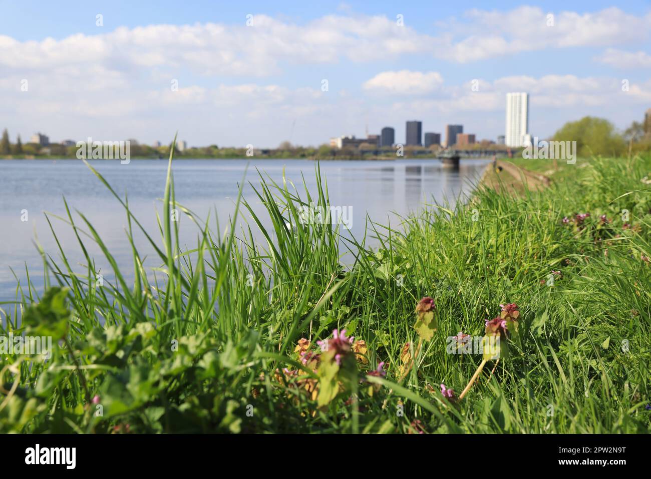 The Walthamstow Wetlands, London Wildlife Trust, a 211-hectare site comprising 10 reservoirs that provide drinking water for London, UK Stock Photo