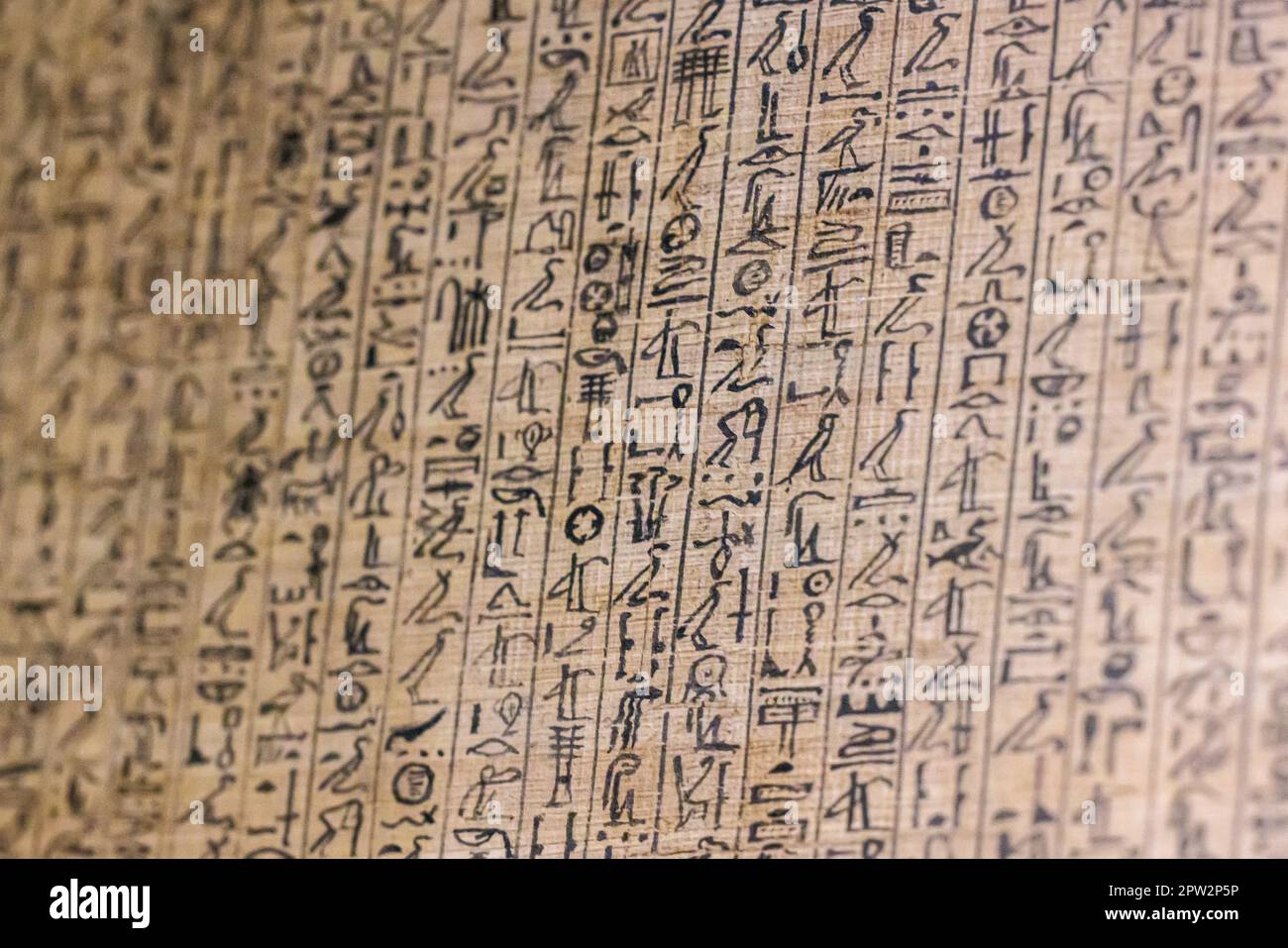 Ancient Egyptian hieroglyphs on papyrus - Cairo Stock Photo