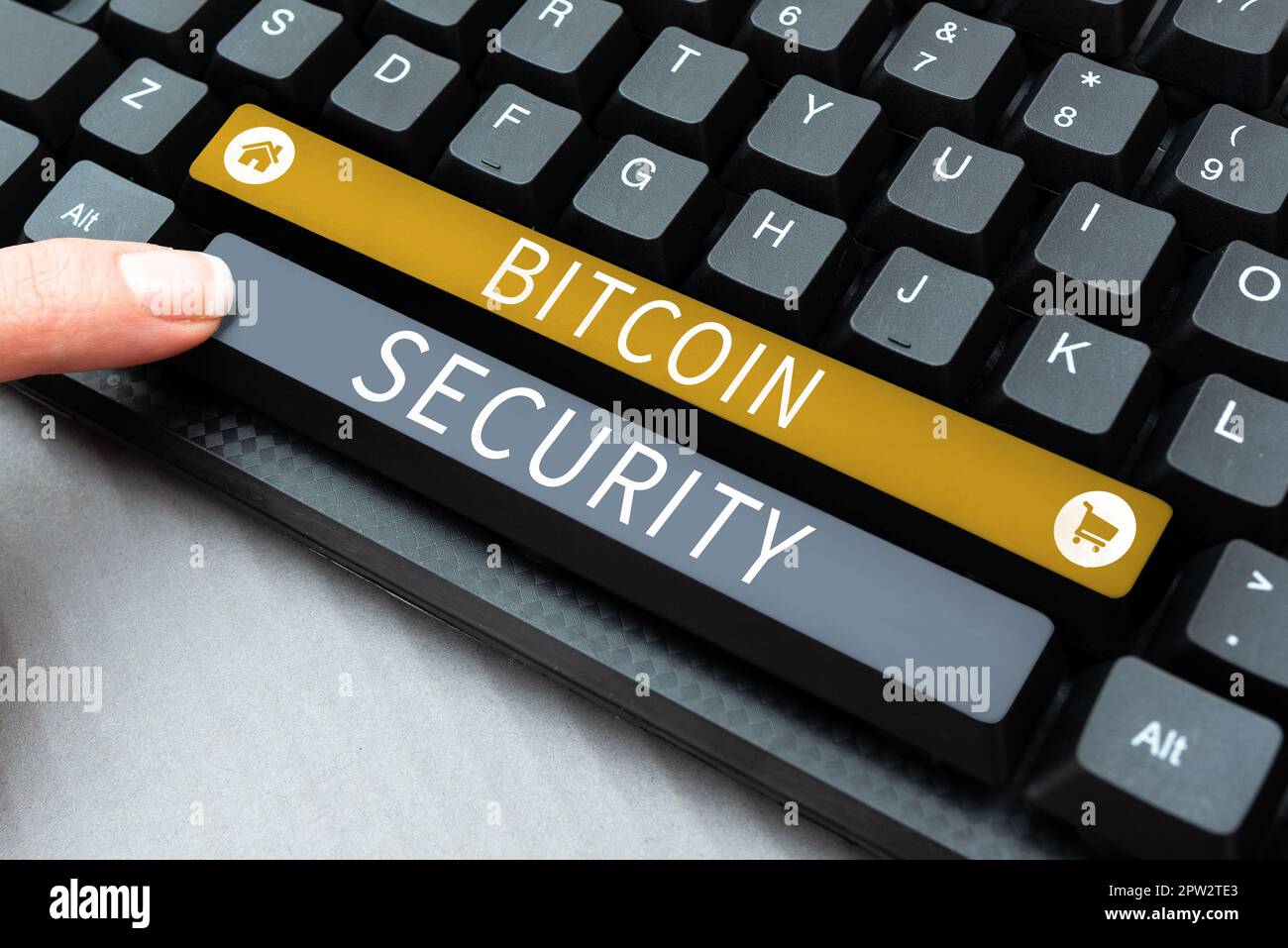Bitcoin security device (87) 사진