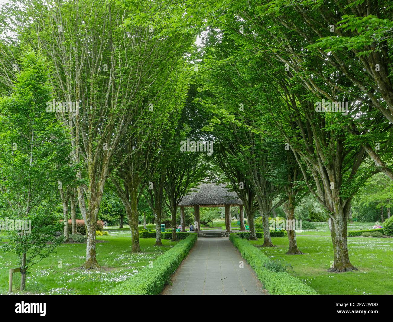 City Park in Adare, Ireland Stock Photo
