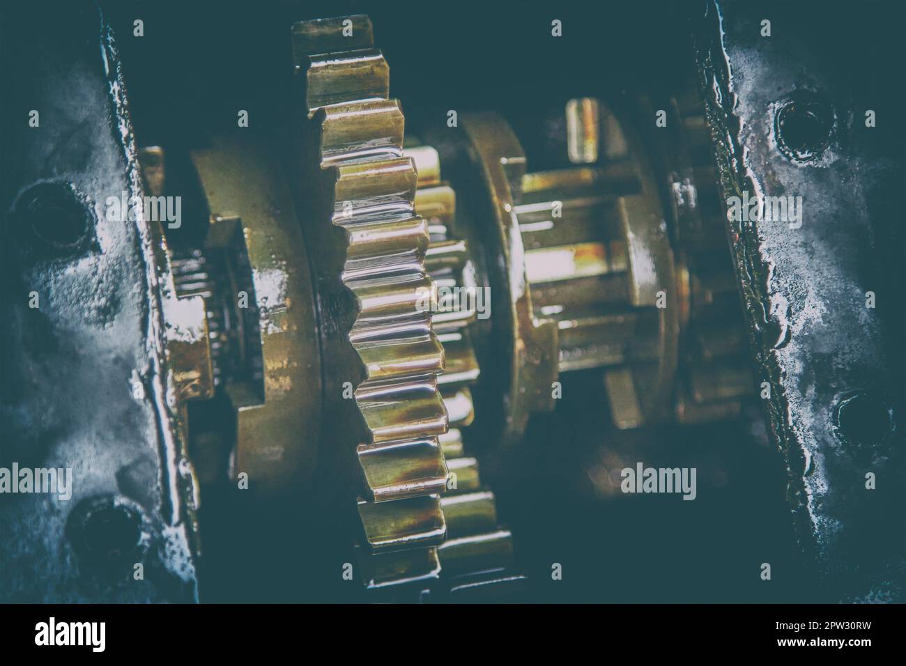 Gears with oil of service transmission gear Stock Photo Alamy