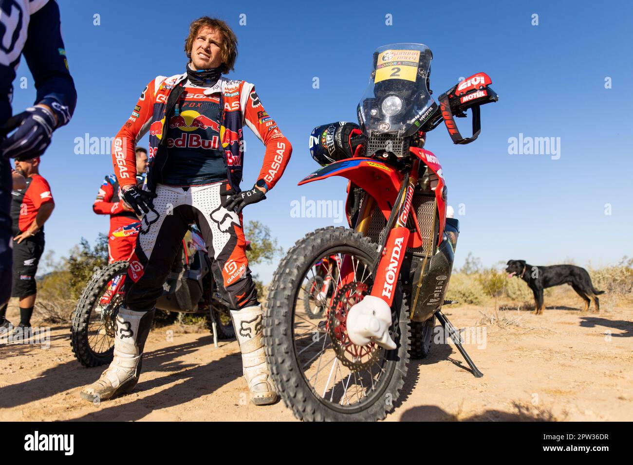 San Luis, Mexique. 28th Apr, 2023. SANDERS Daniel (aus), Red Bull GasGas Factory, GasGas 450 Rally Factory, FIM W2RC, portrait during the Stage 5 of the Sonora Rally 2023, 3rd round of the 2023 World Rally-Raid Championship, between Penasco and San Luis on April 28th, 2023 in San Luis, Mexico - Photo Julien Delfosse/DPPI Credit: DPPI Media/Alamy Live News Stock Photo