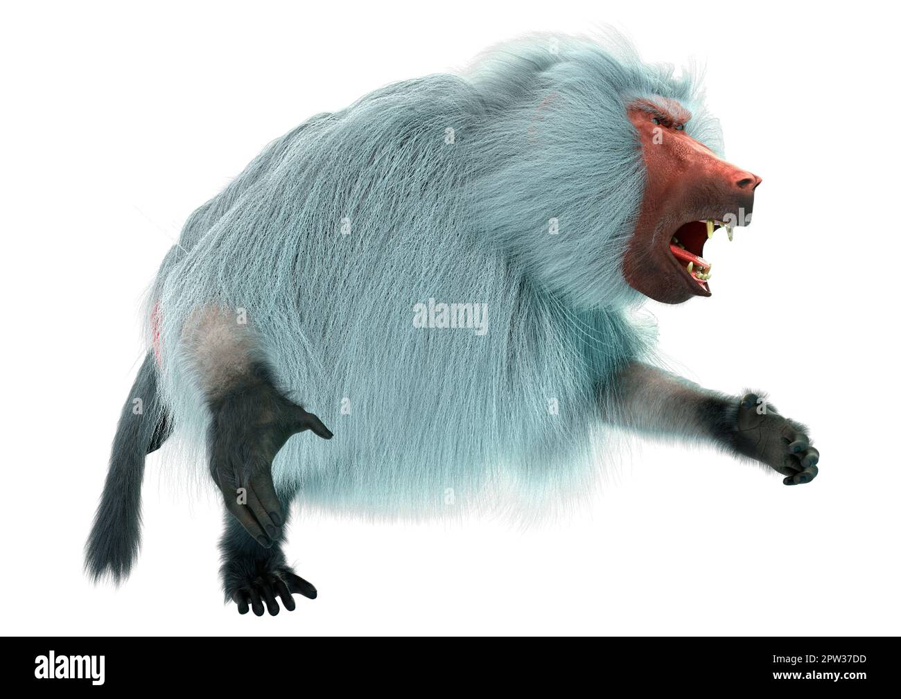 3D rendering of a baboon ape isolated on white background Stock Photo ...