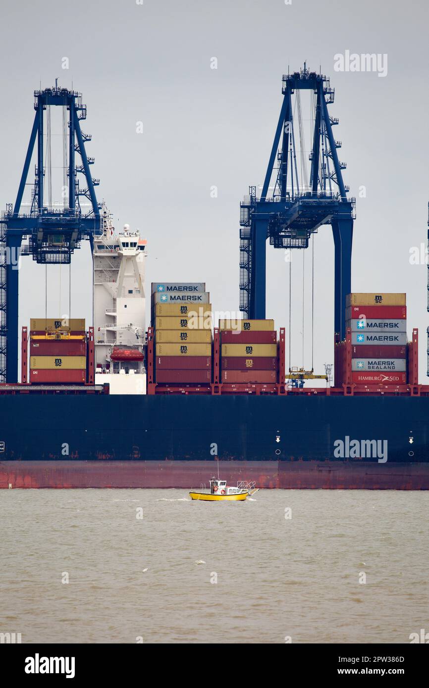 Harwich Harbour Ferry passing MSC Erica on route to Felixstowe beach