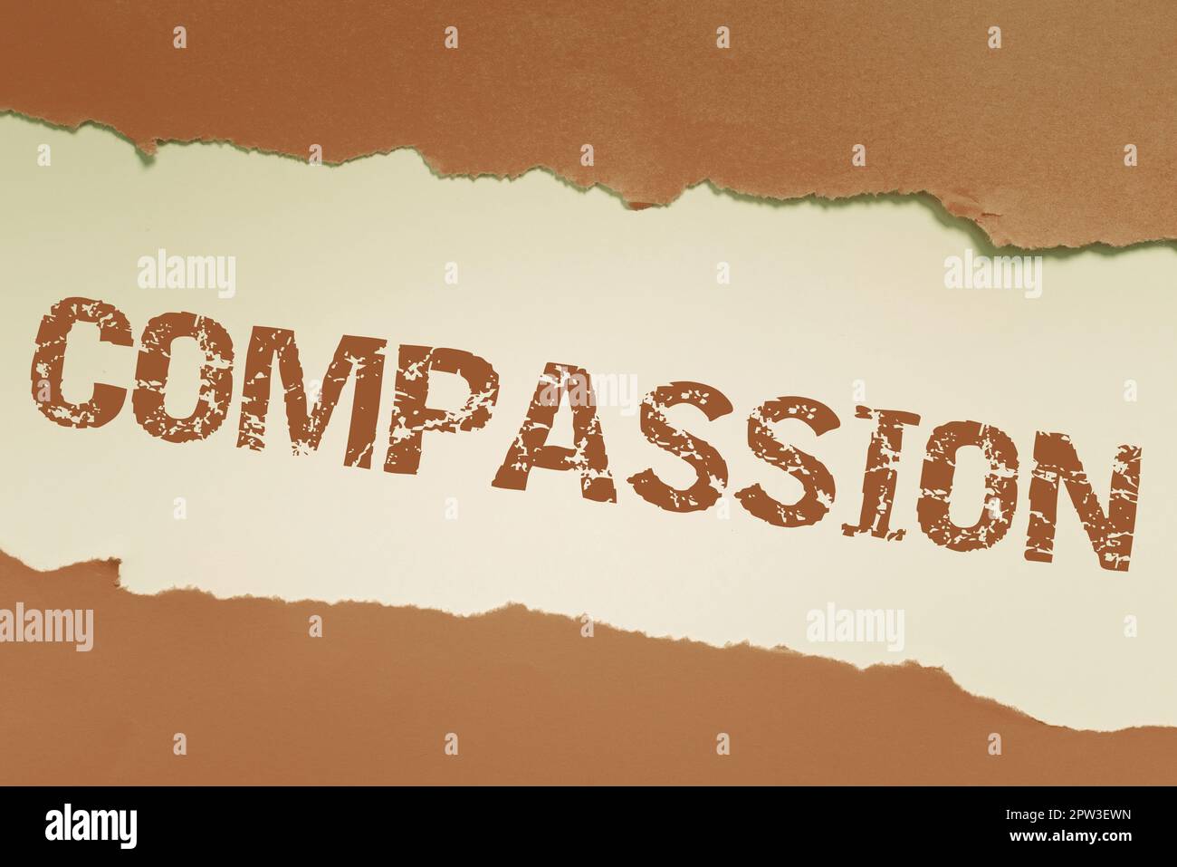 Text sign showing Compassion, Internet Concept empathy and concern for the pain or misfortune of others Stock Photo