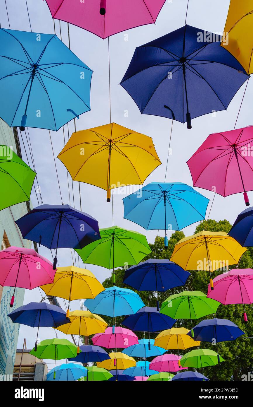 Looking up at a row of colorful umbrellas in Downtown Redlands