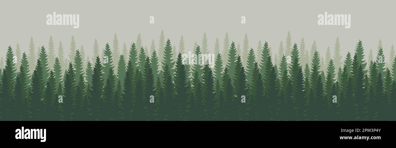 Panorama of dense forest, fir and pine natural green landscape, web ...
