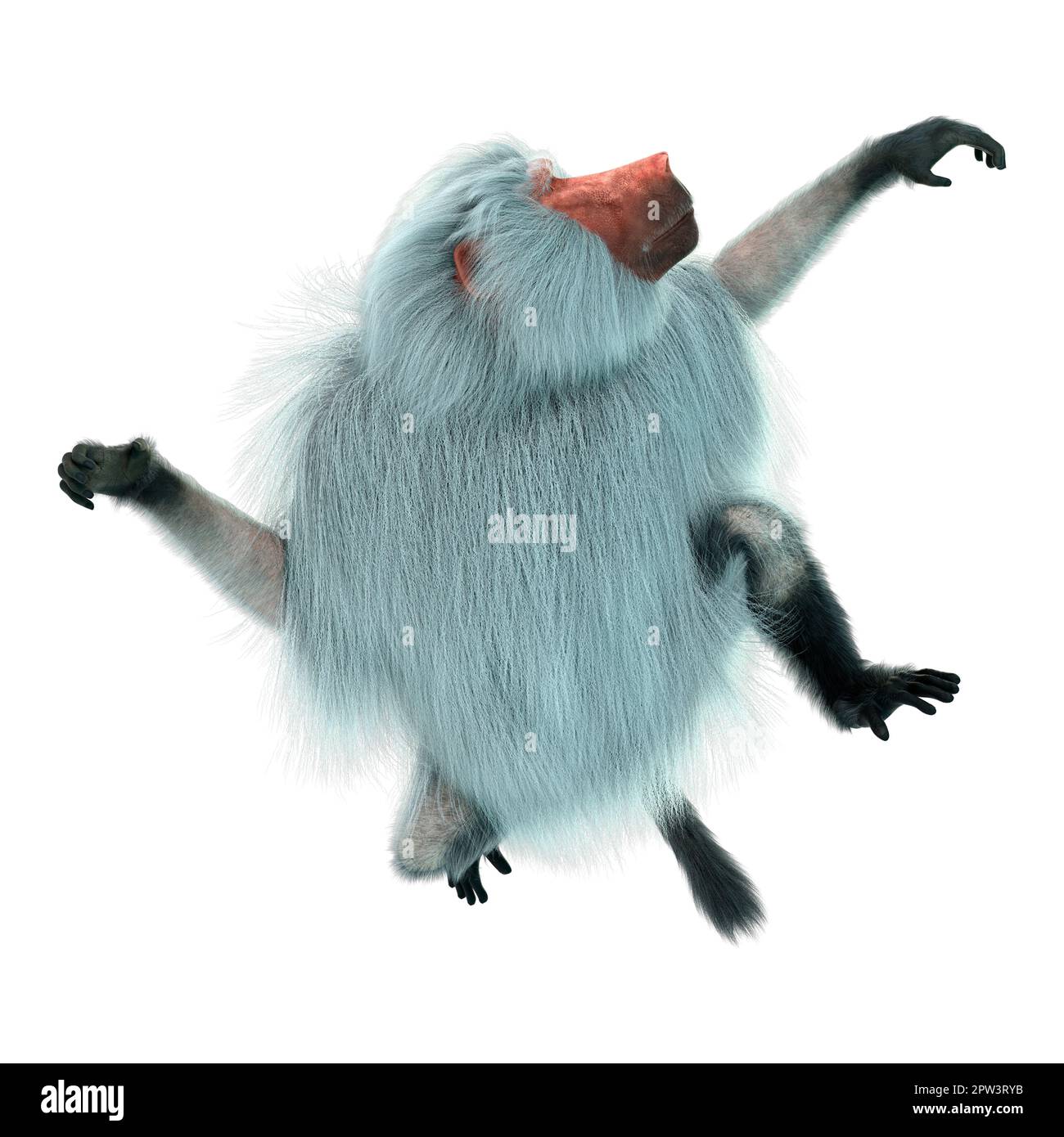 3D rendering of a baboon ape isolated on white background Stock Photo ...