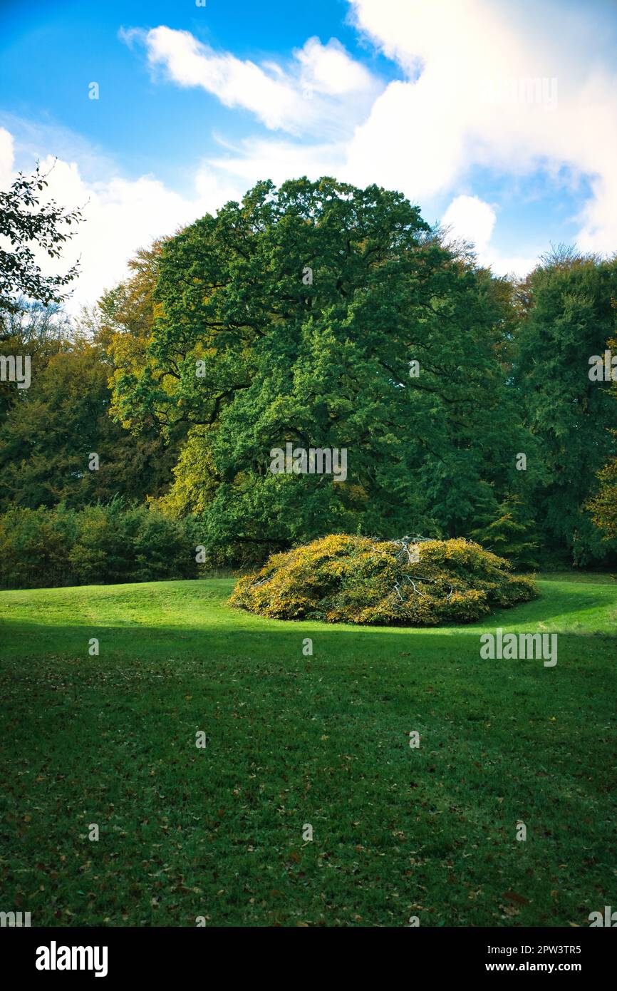 Frederiksborg Castle Park in autumn with mighty deciduous trees on the ...