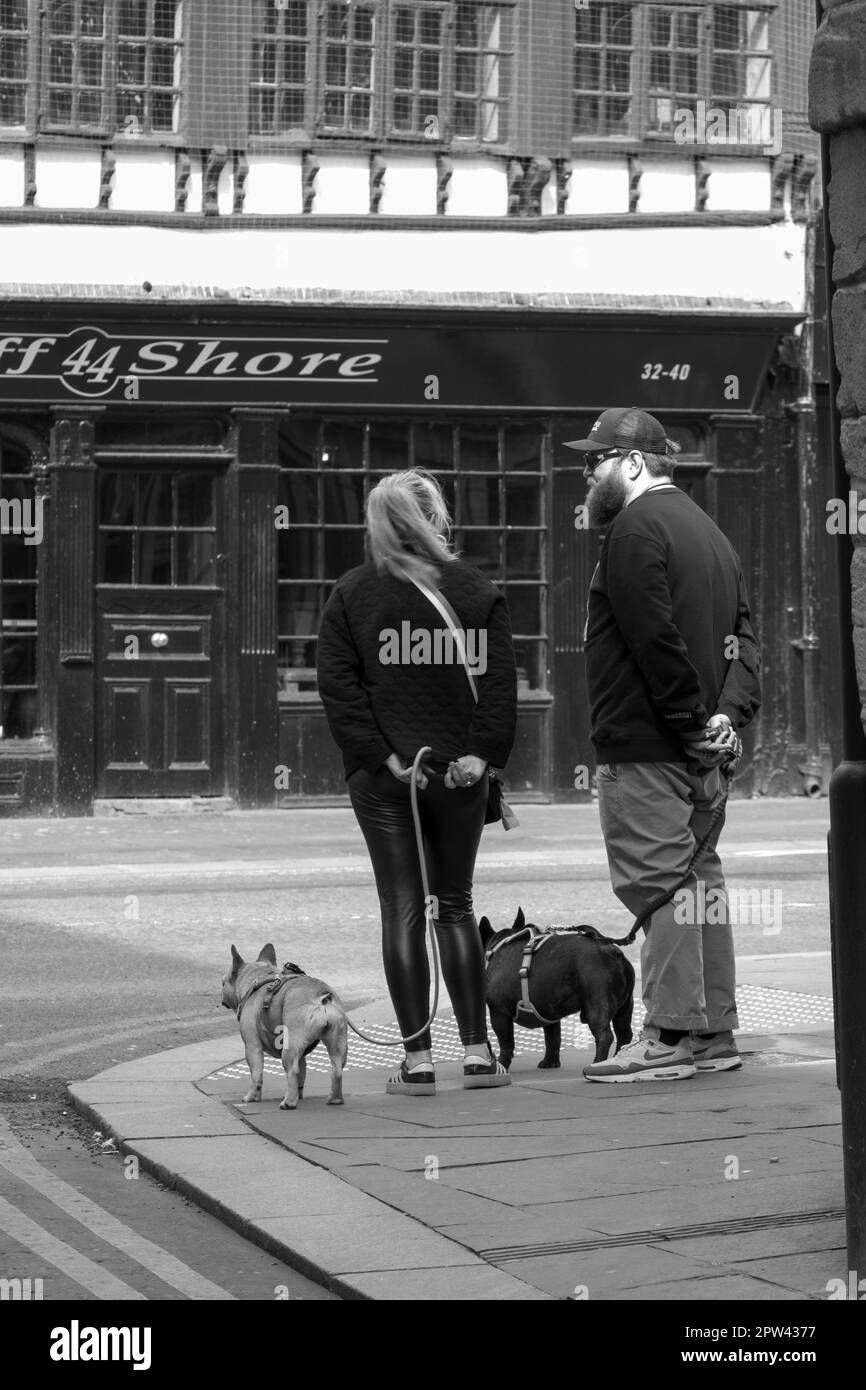 Dog walkers in the city centre Stock Photo