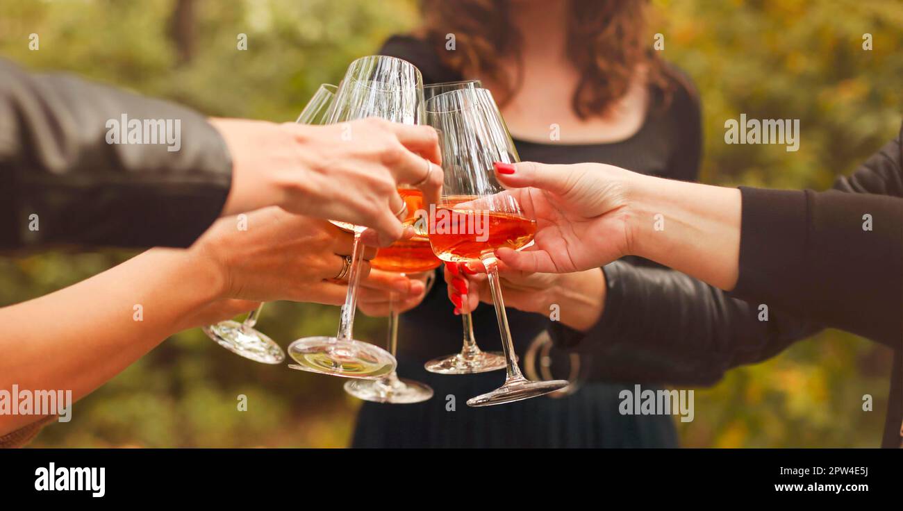Crop anonymous female friends toasting with glasses of red wine during outdoor party in evening in countryside Stock Photo