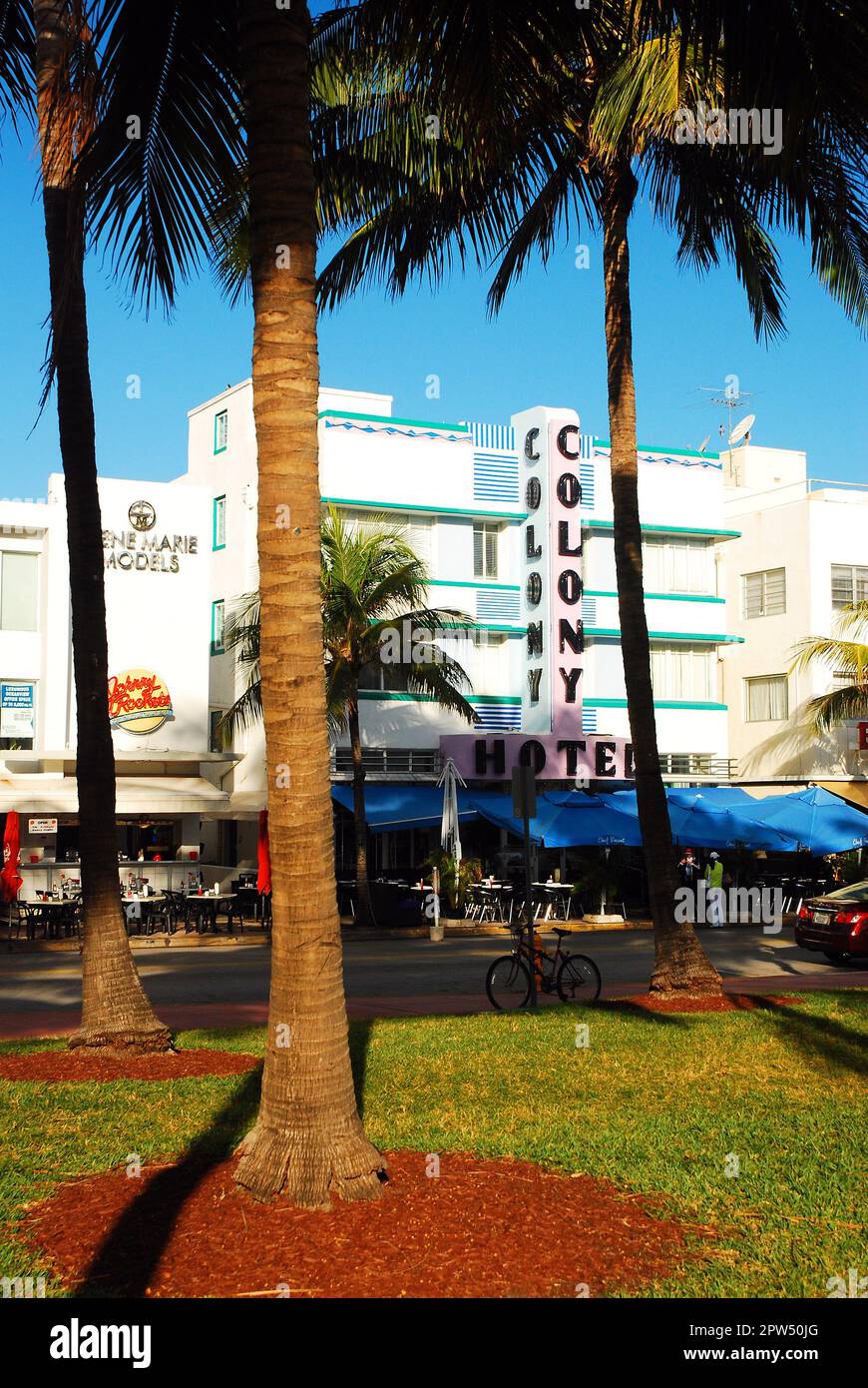 The Art Deco Hotels of Miami Beach are framed by the palm trees from across the street Stock Photo
