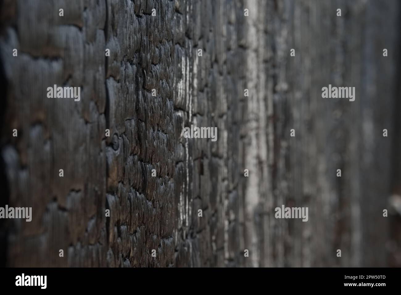 Burned boards or wooden wall, vertical texture Stock Photo