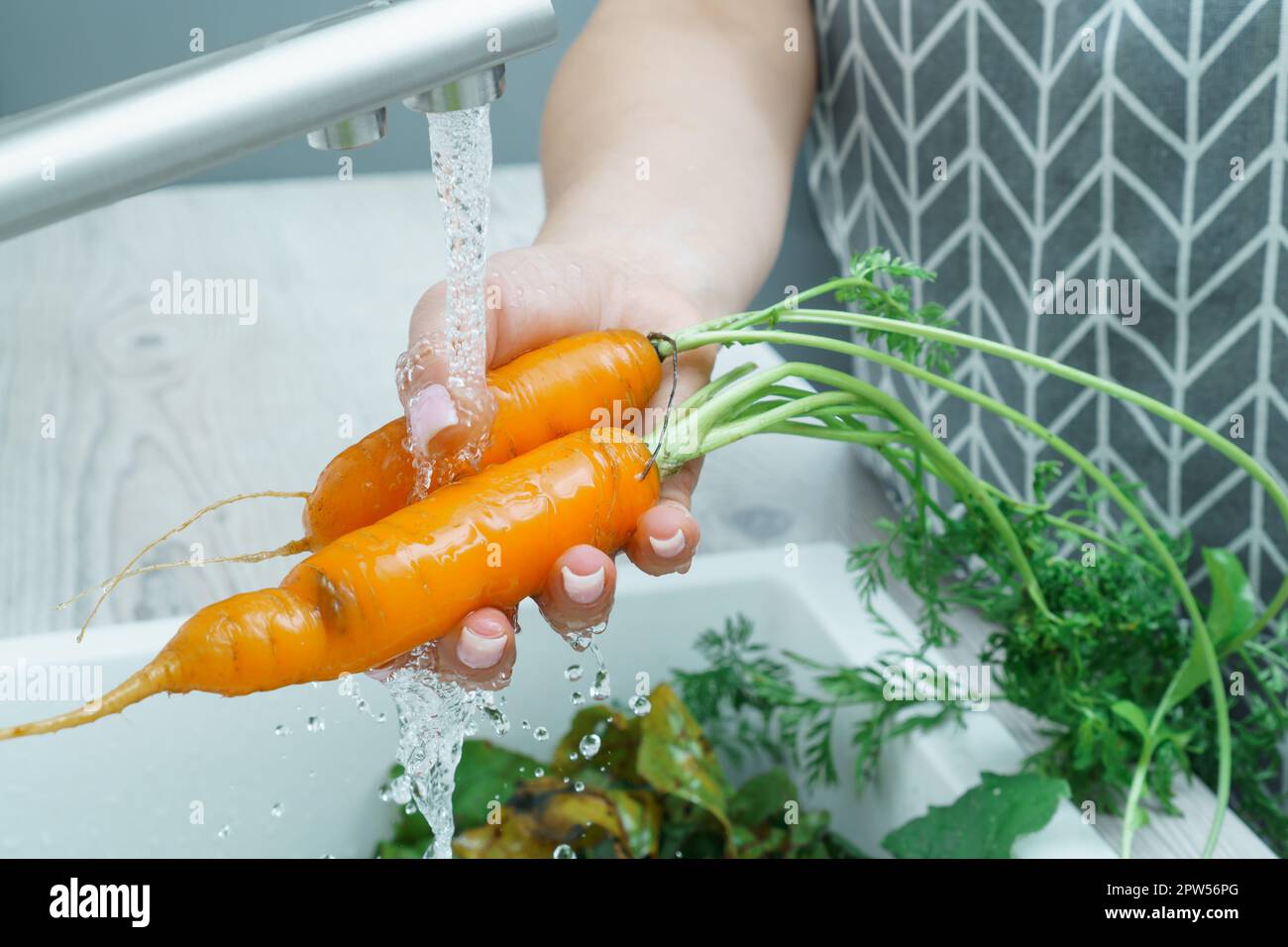 Carrots Getting Washed Female hands washing fresh carrot under water jet in kitchen sink ...