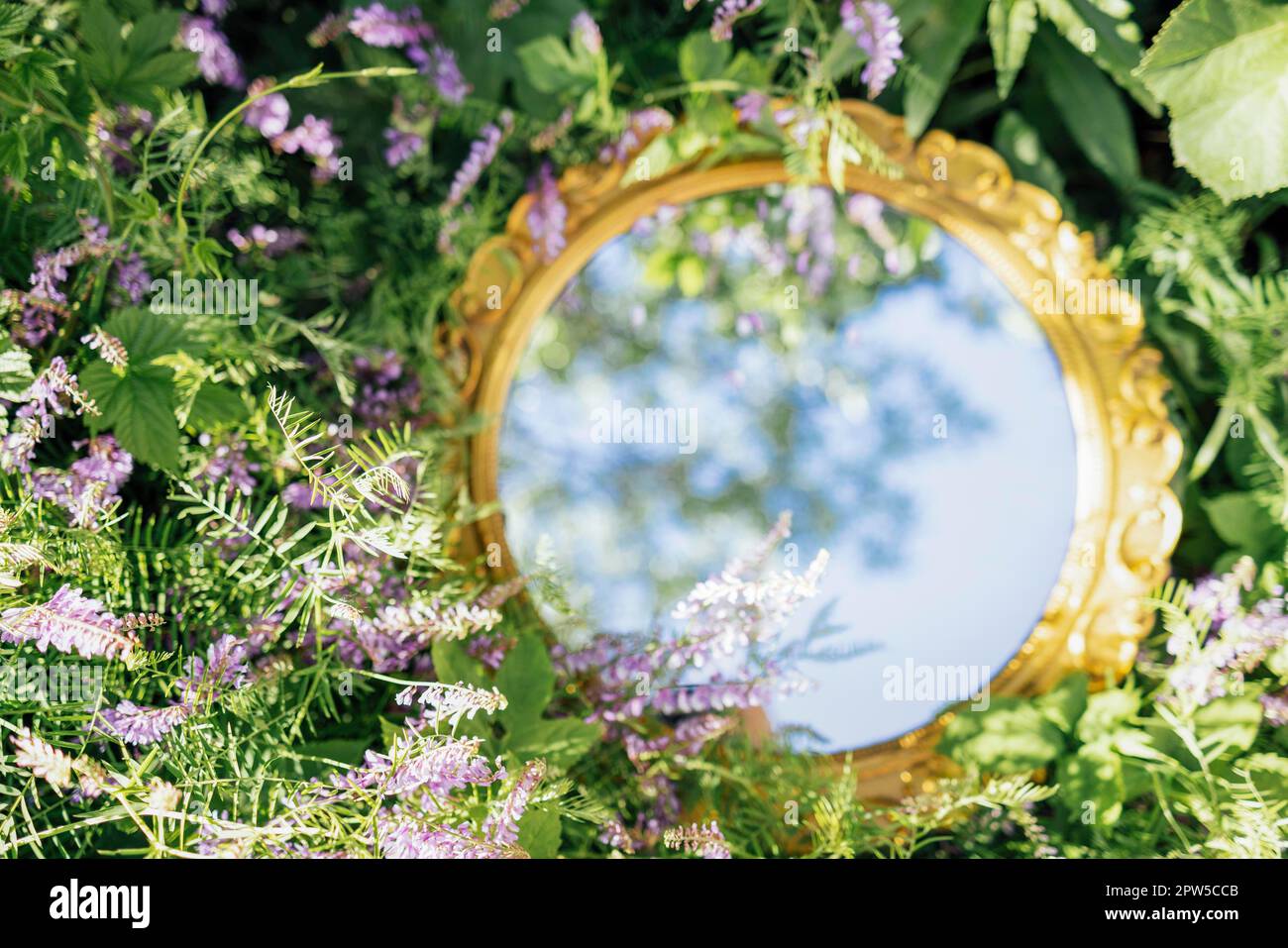 Sky reflection in round mirror on spring field. Nature and eco concept Stock Photo