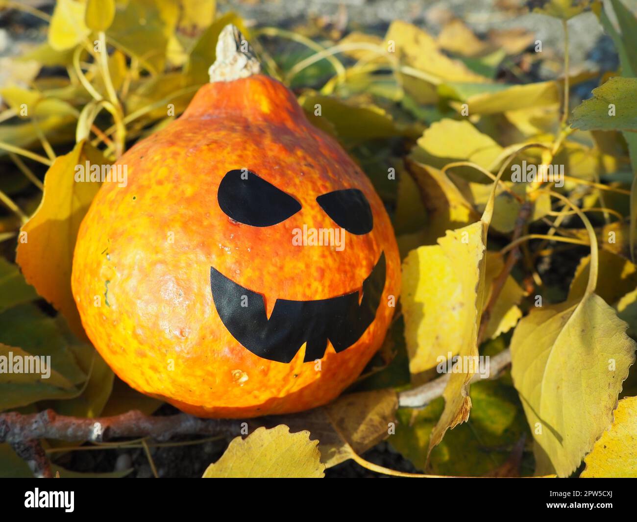 Pumpkin Horror Scary Face Halloween Party T-Shirt' Sticker