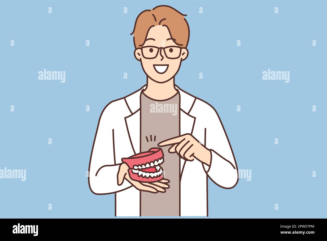 The dentist shows the model of the jaw Stock Vector Image & Art Alamy