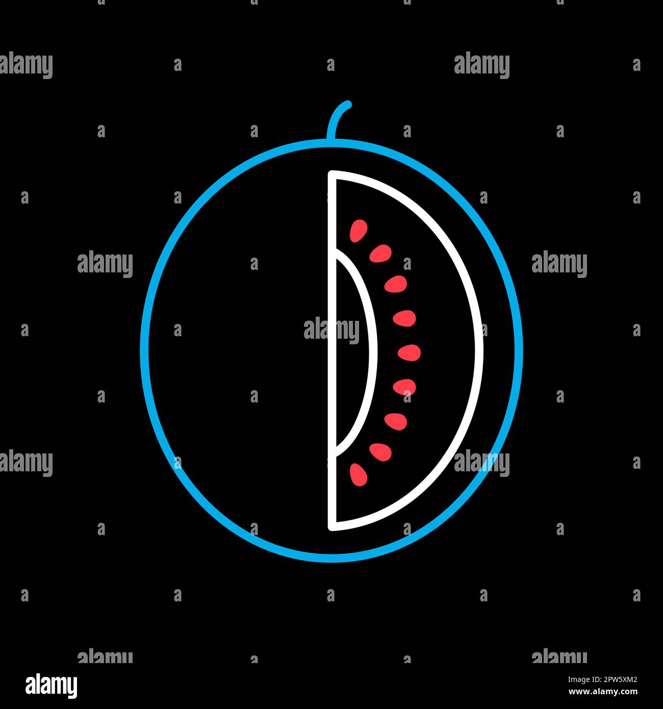 Melon vector on black background icon. Graph symbol for food and drinks