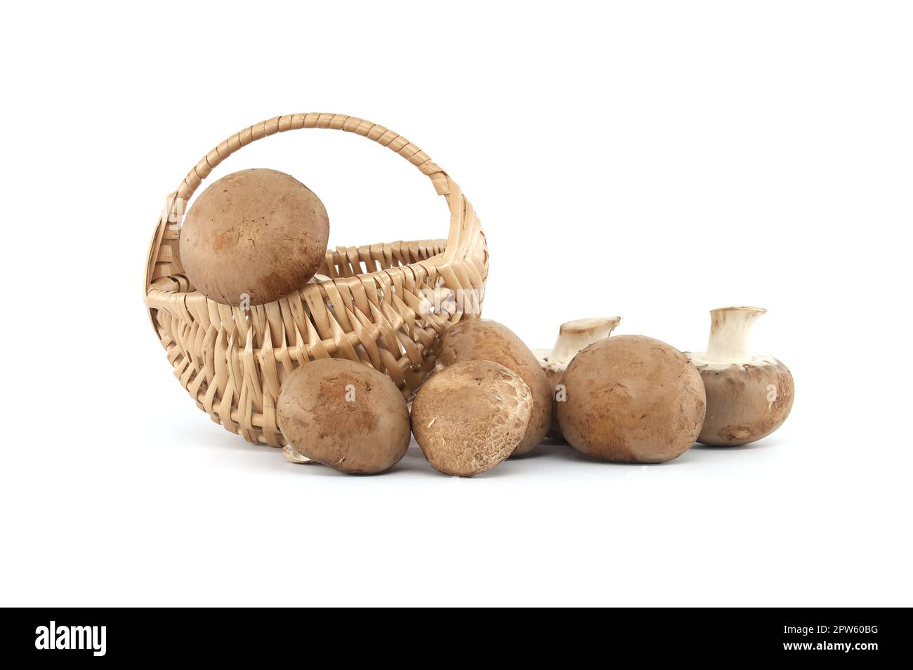 Fresh Baby Bella or Cremini whole mushrooms in front of wicker basket