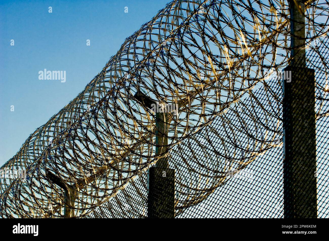 Barbed wire or Nato wire on a prison fence in oblique view against a blue  sky Stock Photo - Alamy