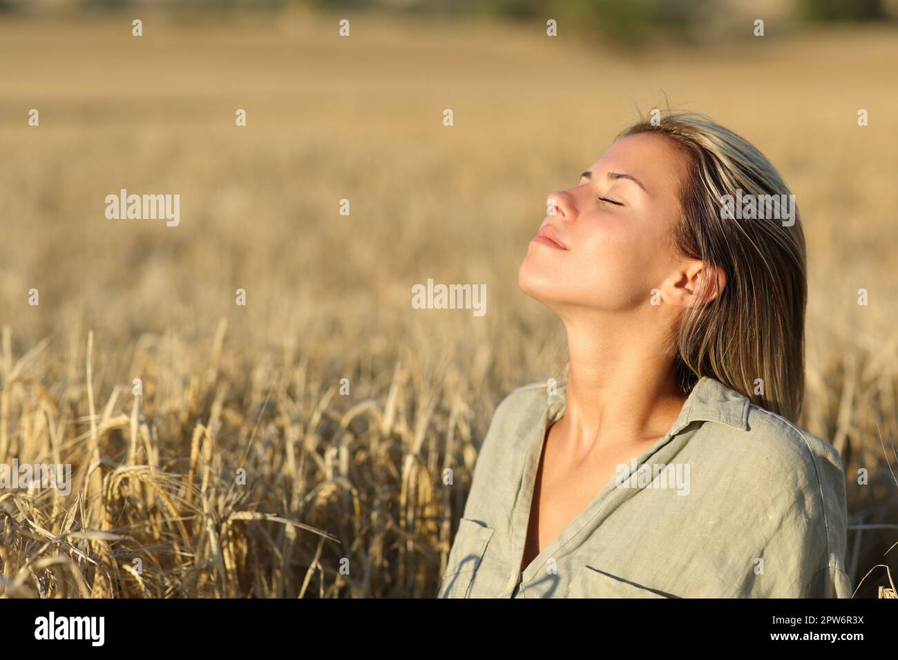 Relaxed woman breathing fresh air in a golden wheat field at sunset ...