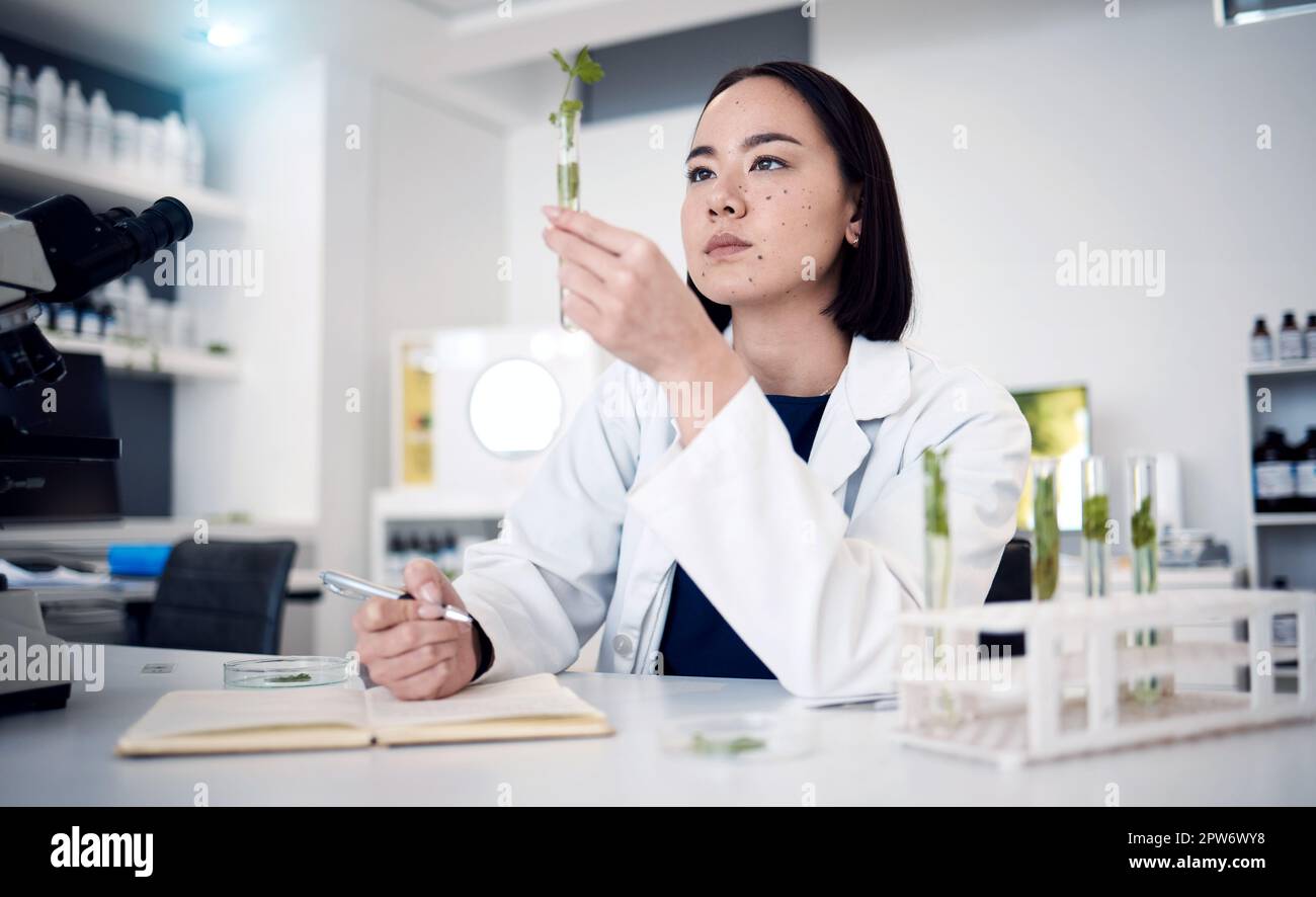 Scientist woman, test tube and plants in lab research, food security study or agriculture