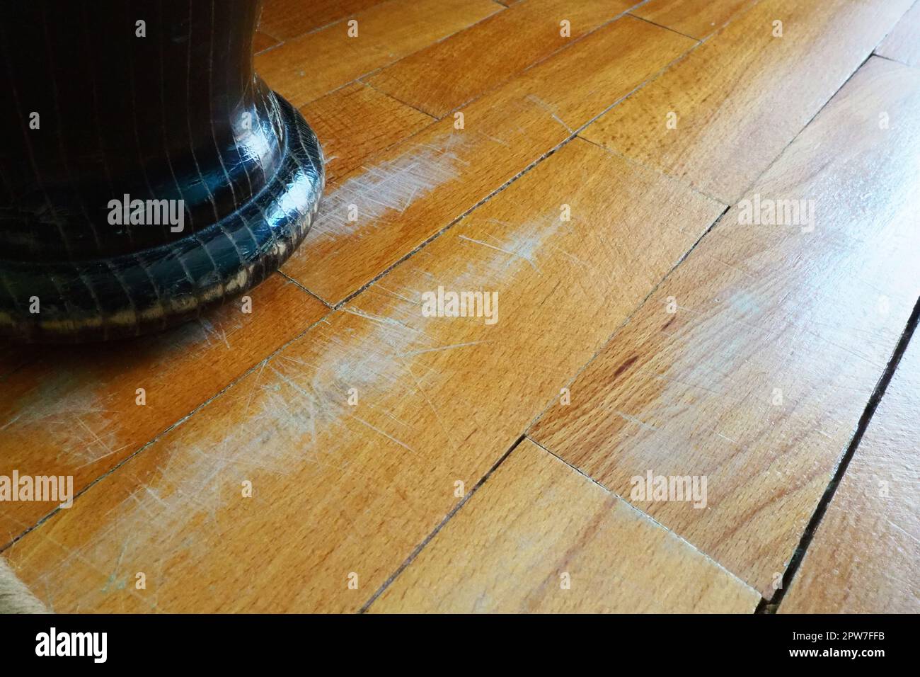 Scratched old parquet flooring needs maintenance. The parquet is