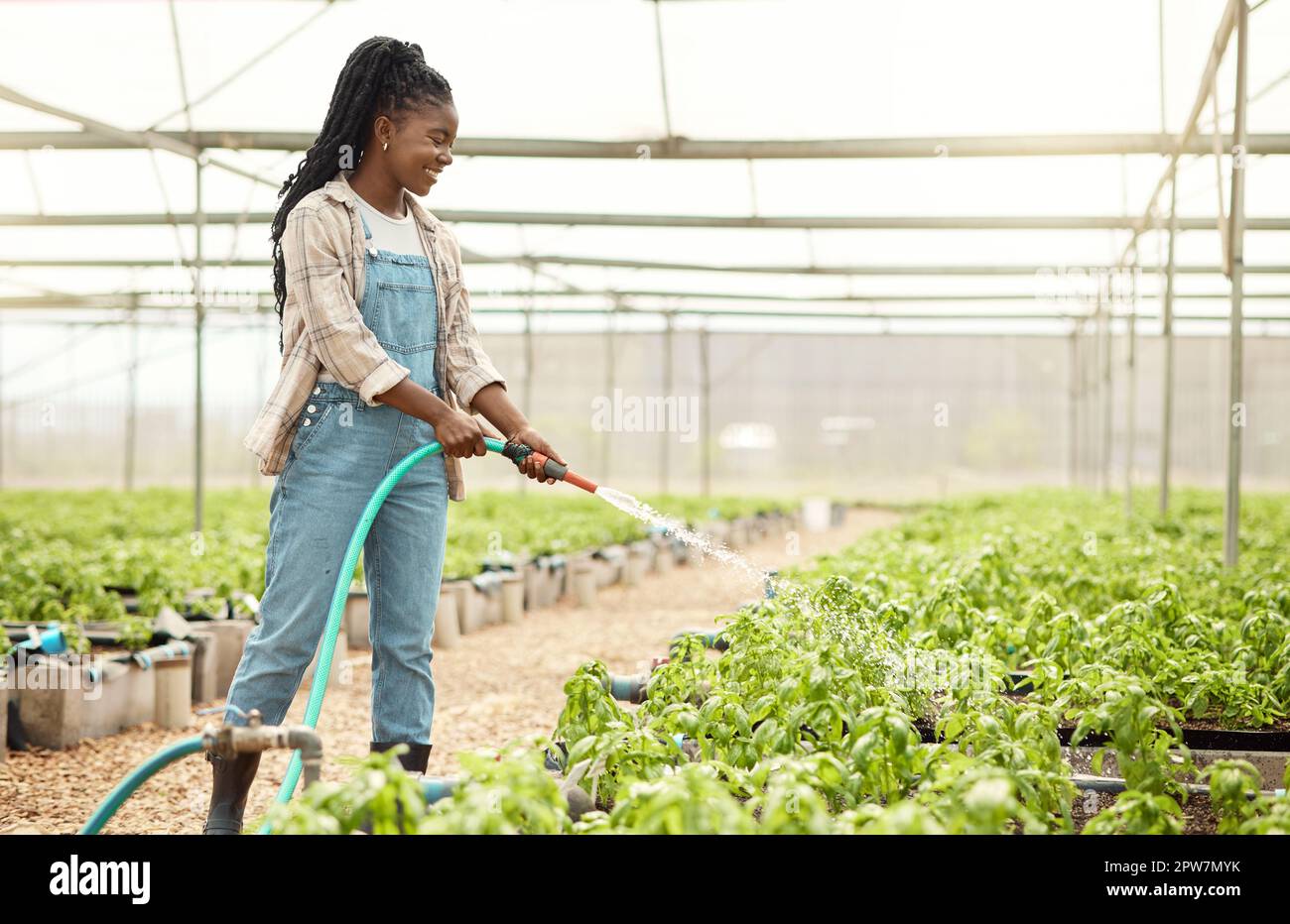 African american farmer watering her plants. Happy farmer watering her