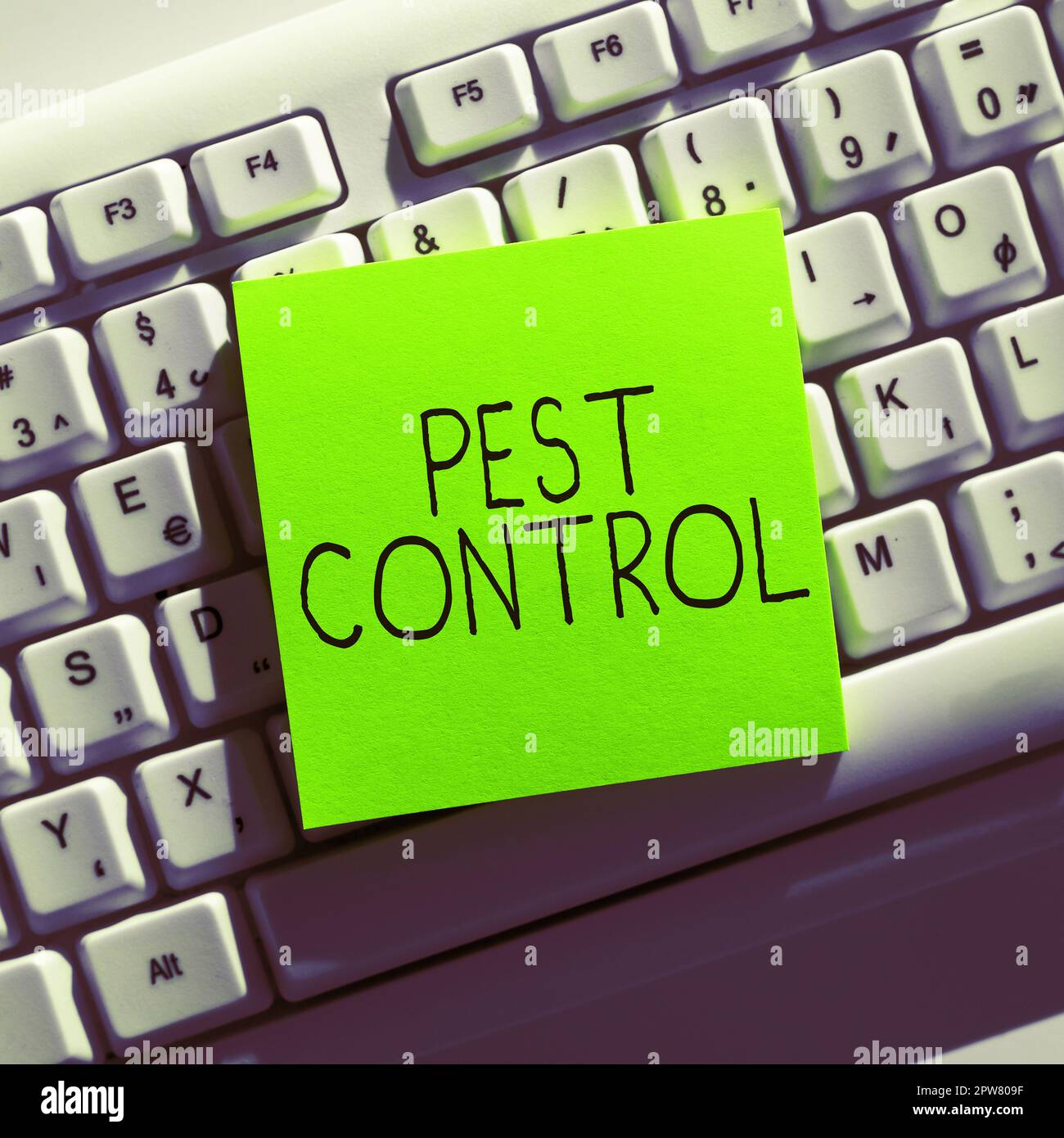 Hand writing sign Pest Control, Business concept Killing destructive ...