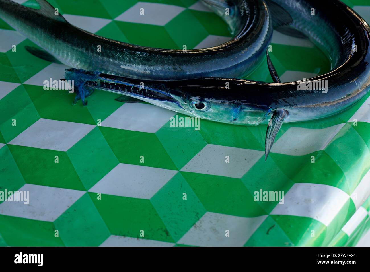 fresh fish from a fisherman village on the philippine islands Stock ...