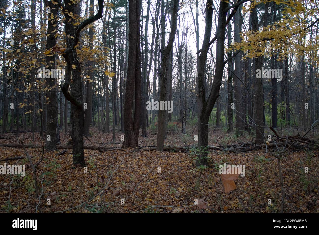 Cleveland ohio seasons hi-res stock photography and images - Alamy